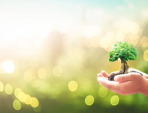 2022 Stakeholder Report